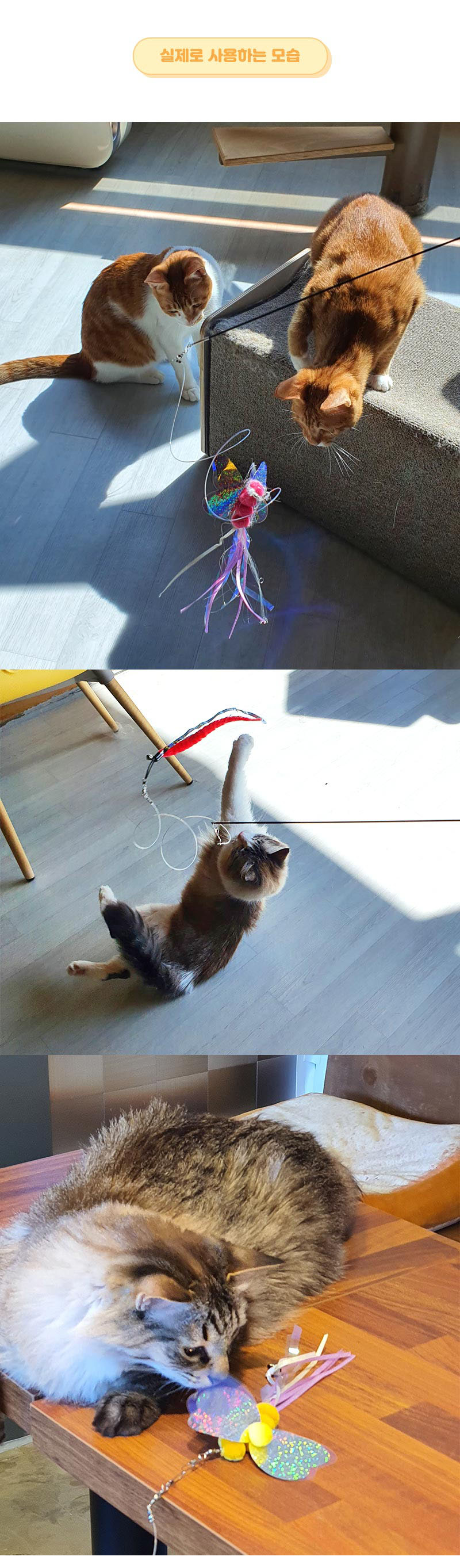티티펫-엔젤-버그-고양이-3단-낚시대-그린12.jpg