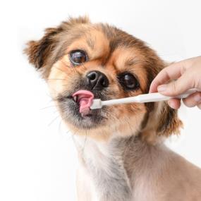 크레용펫 강아지 고양이 칫솔 양치  입냄새 치석제거 원형 360도