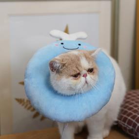 [도그웨그] 고양이 프렌즈 넥카라 강아지 천 애견 넥쿠션 깔대기
