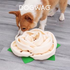 [도그웨그] 대왕 꽃 노즈워크 강아지 간식 장난감 삑삑이 터그놀이 분리불안 훈련