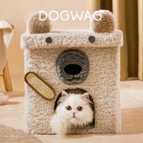 도그웨그 뽀글베어 고양이 박스 하우스 강아지 접이식 동굴 숨숨집