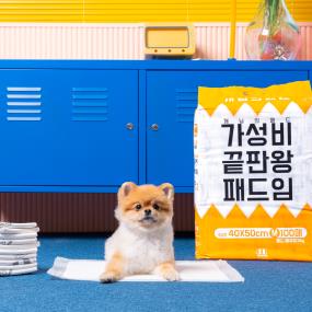 개님의패드 강아지 배변패드 소형 40x50cm 1팩 총 100매 X4팩